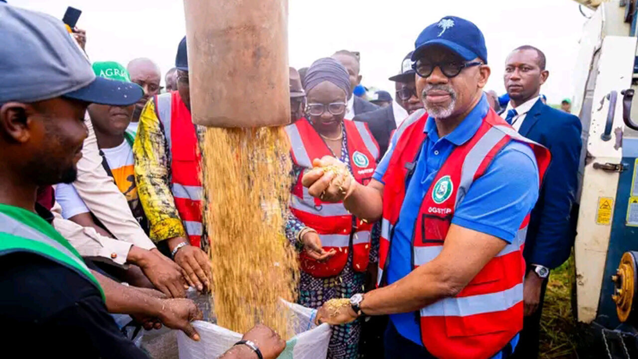 Who Owns 200-Hectare Ogun State Rice Farm?