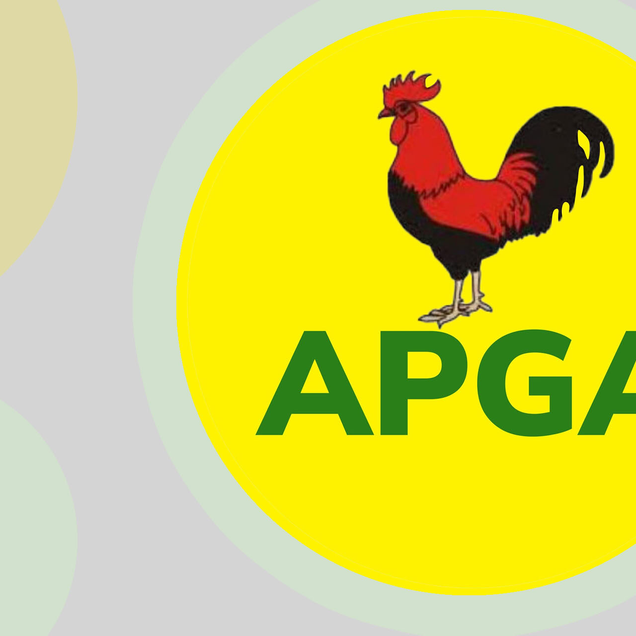 LG Polls: APGA Sweeps All Chairmanship Seats In Anambra 