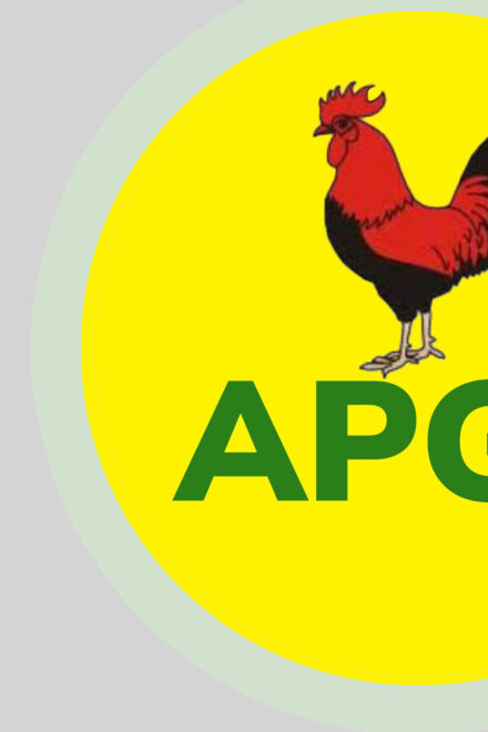 LG Polls: APGA Sweeps All Chairmanship Seats In Anambra 