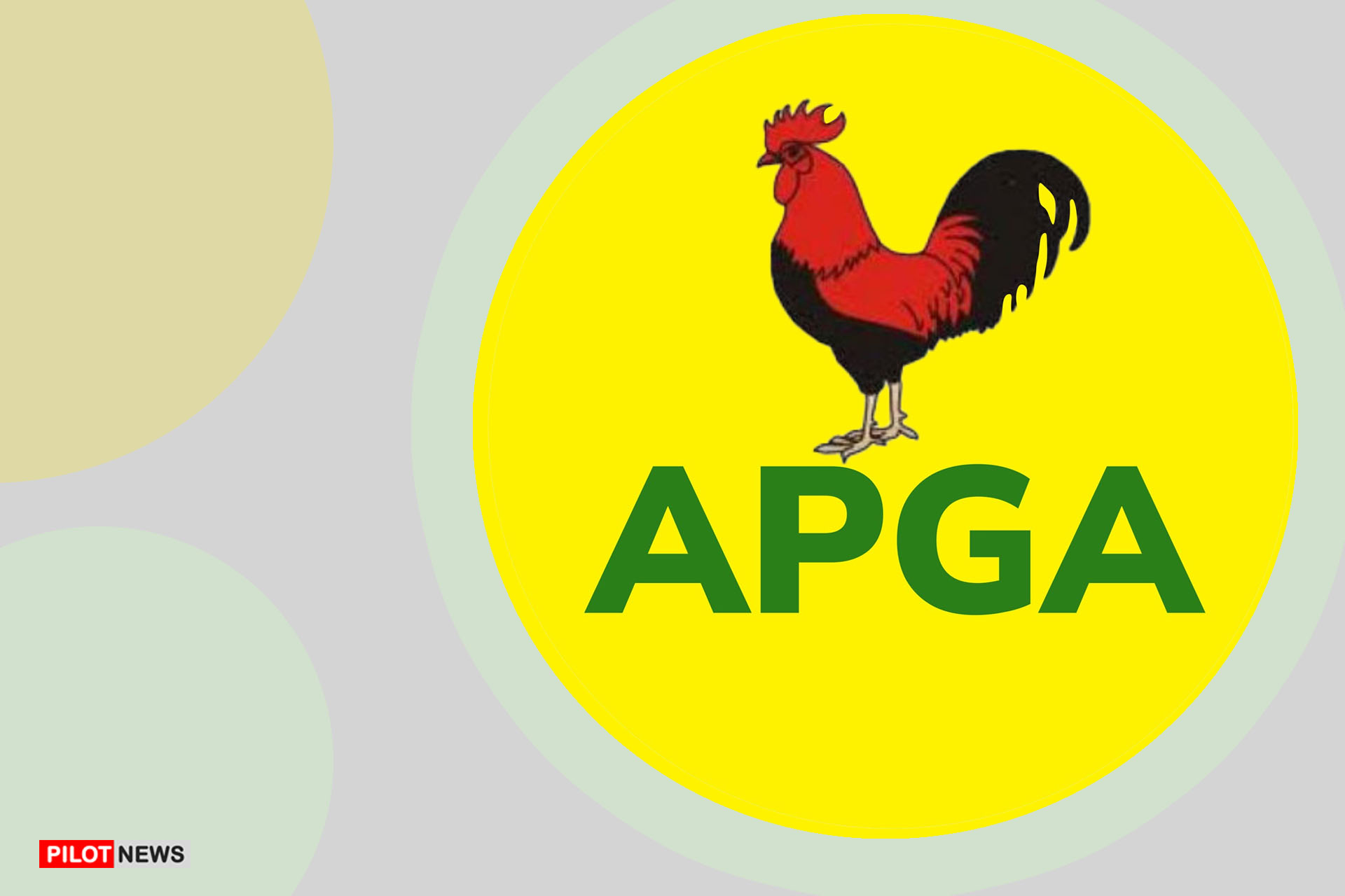 APGA to Begin Sale of Forms for National and State Assembly By-Elections