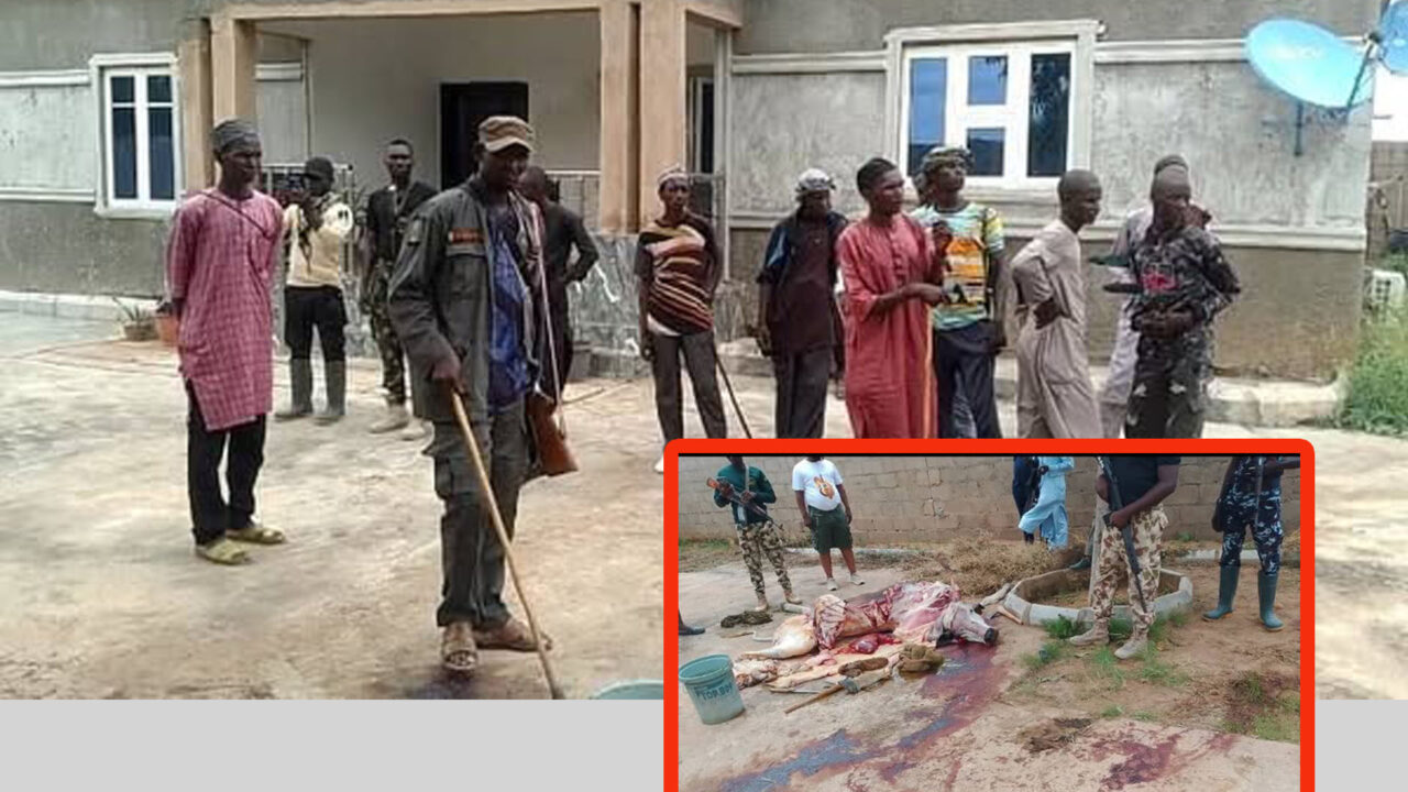 Operation Farauta uncovers secret slaughterhouse in Yola