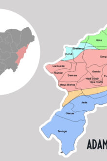 Federal Govt Probes Strange Disease In Adamawa