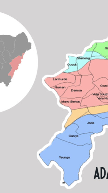 Adamawa Jail Delivery Committee Discharges 55 Inmates