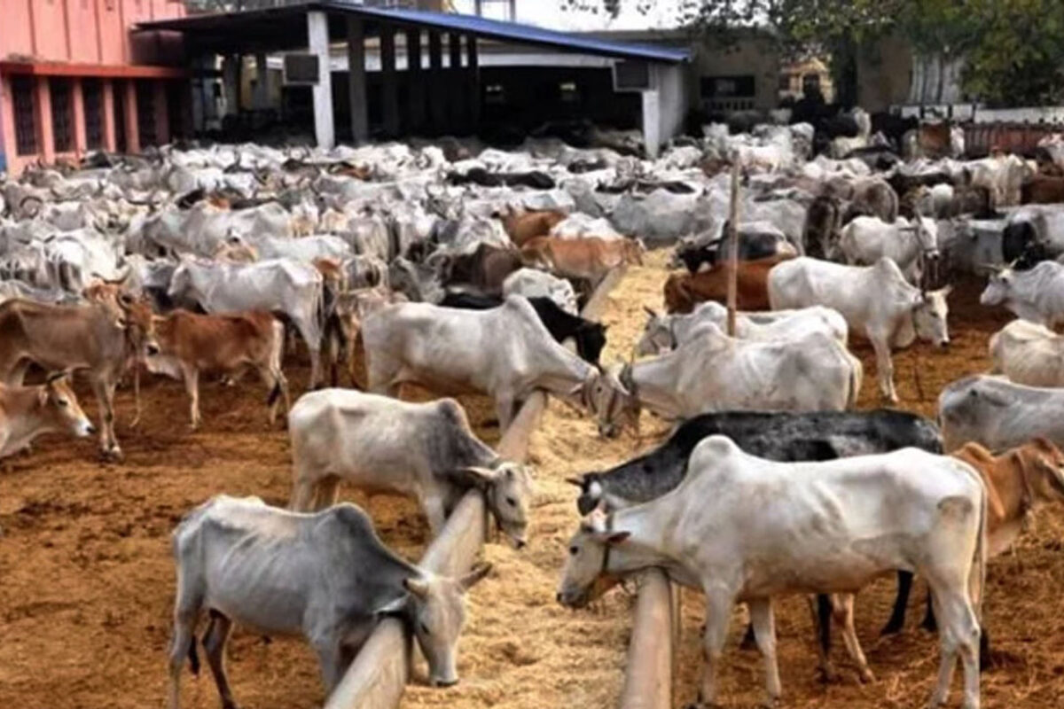 Council Govt Says Kara Market Will Operate from 6 a.m. and 6 p.m. Daily