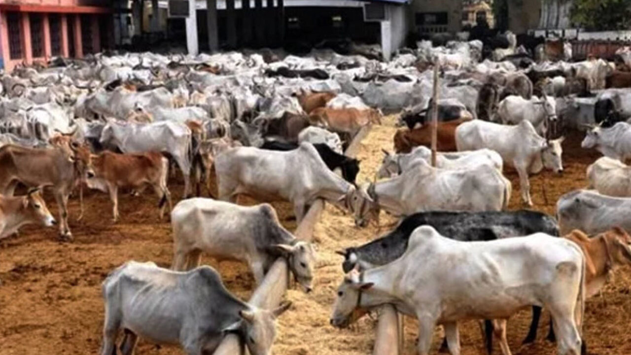 Council Govt Says Kara Market Will Operate from 6 a.m. and 6 p.m. Daily