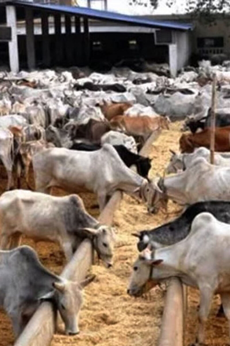 Council Govt Says Kara Market Will Operate from 6 a.m. and 6 p.m. Daily