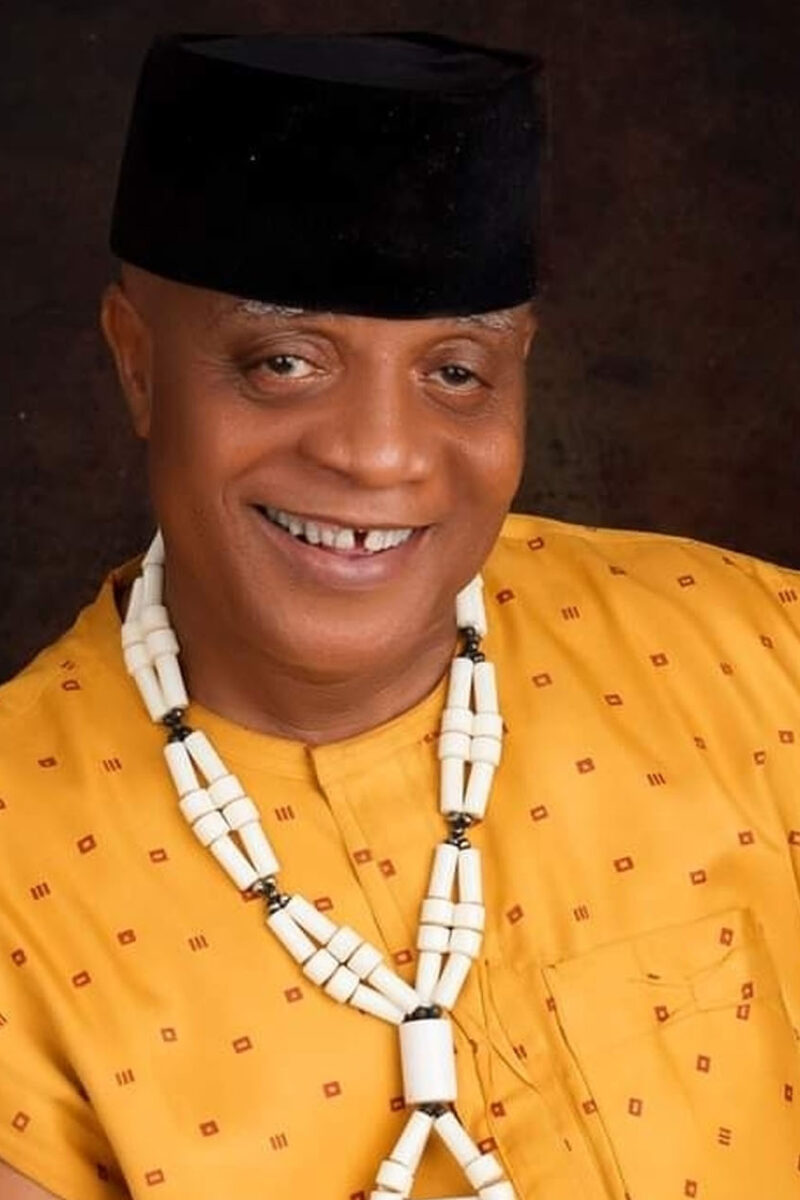 ‘The Grass Is Not Greener There’, Bright Chimezie Warns African Youths Eyeing the West