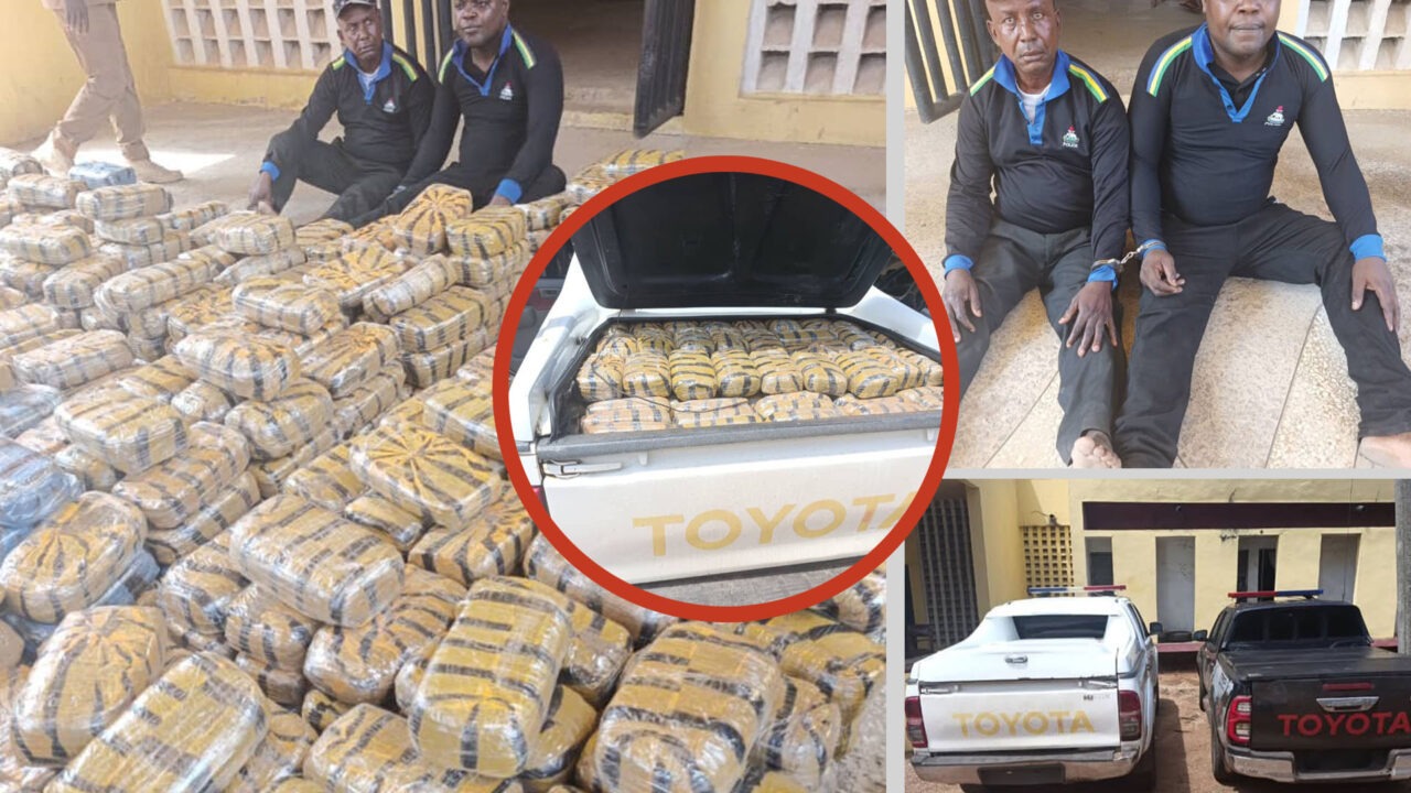 Troops Arrest Fake Police Officers With Two Hilux Loaded With Cannabis In Taraba