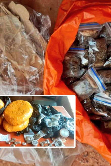 Enugu State Police Raid Criminal Hideouts, Arrest 4, Recover Drugs