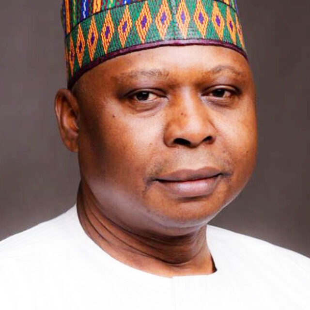 PDP Convention: Turaki Emerges As National Chairman