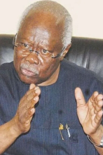 Osun Election Is Affirmation Of Power Of The Electorate – Bode George