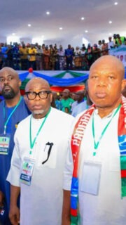 Dr. Ijeoma Arodiogbu re-emerge as APC’s South East National Vice Chairman