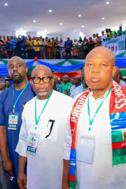Dr. Ijeoma Arodiogbu re-emerge as APC’s South East National Vice Chairman