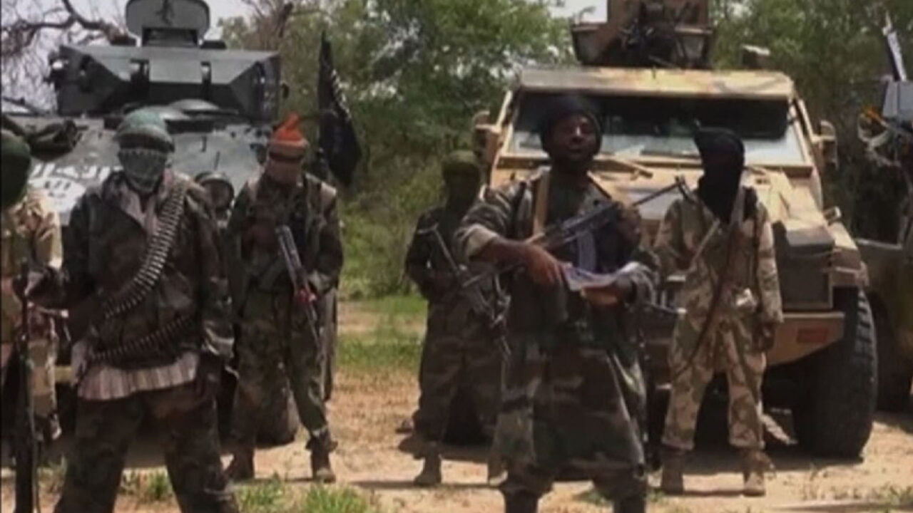 Suspected Boko Haram Insurgents Kills Herder, Rustled 1,400 Sheep In Borno 