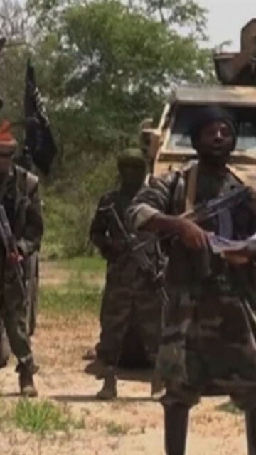 Suspected Boko Haram Insurgents Kills Herder, Rustled 1,400 Sheep In Borno 