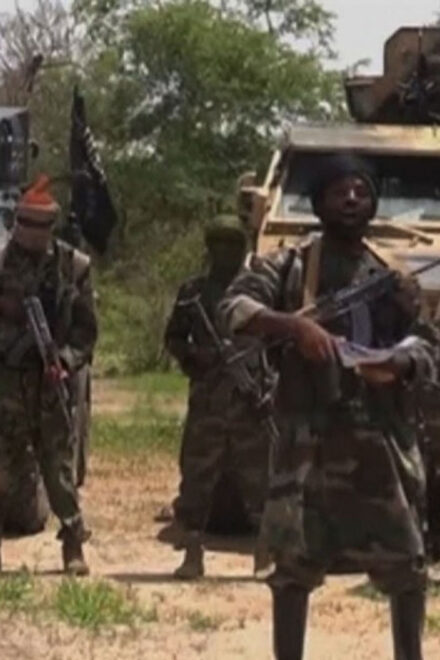 Suspected Boko Haram Insurgents Kills Herder, Rustled 1,400 Sheep In Borno 