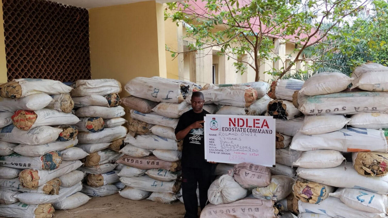 NDLEA Arrests Suspect With 1,378kg Drugs In Edo