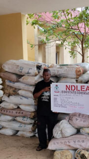 NDLEA Arrests Suspect With 1,378kg Drugs In Edo