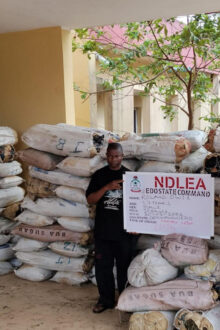 NDLEA Secures Convictions Of 248 Suspects, Seizes Illicit Drugs Worth N2bn