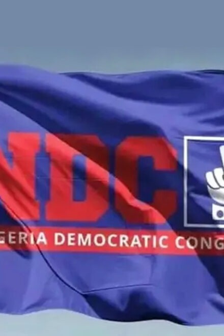 NDC Enugu Unveils Party’s 17 LGA Leaders