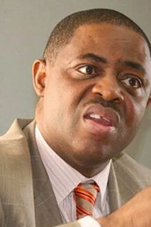 Fani-Kayode Denies Germany Rejection, Confirms Redeployment to South Africa