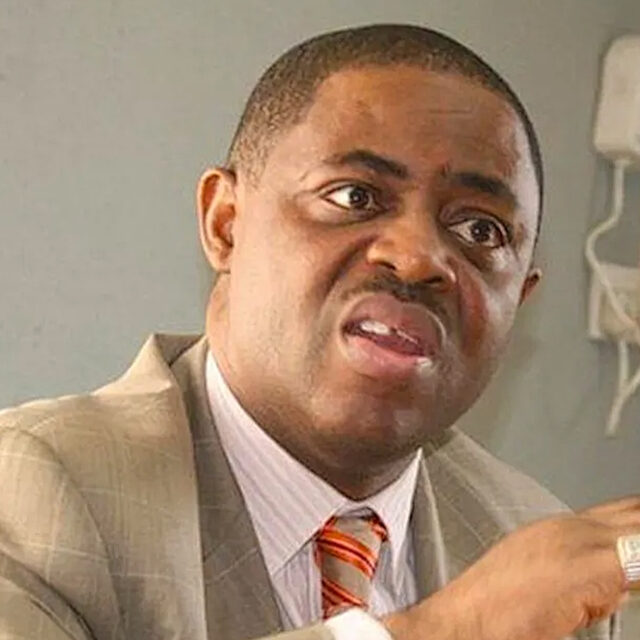 Fani-Kayode Denies Germany Rejection, Confirms Redeployment to South Africa